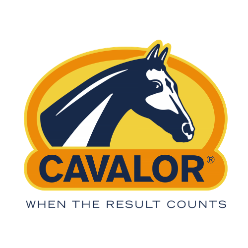 LOGO-CAVALOR-RGB-big